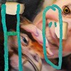 HÖH-H:-H, 30 cm x 38 cm, 2024, oil on canvas 